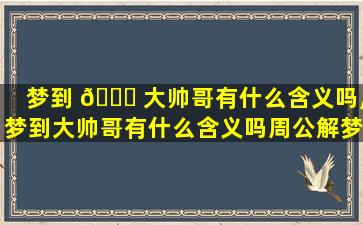 梦到 🍀 大帅哥有什么含义吗,梦到大帅哥有什么含义吗周公解梦